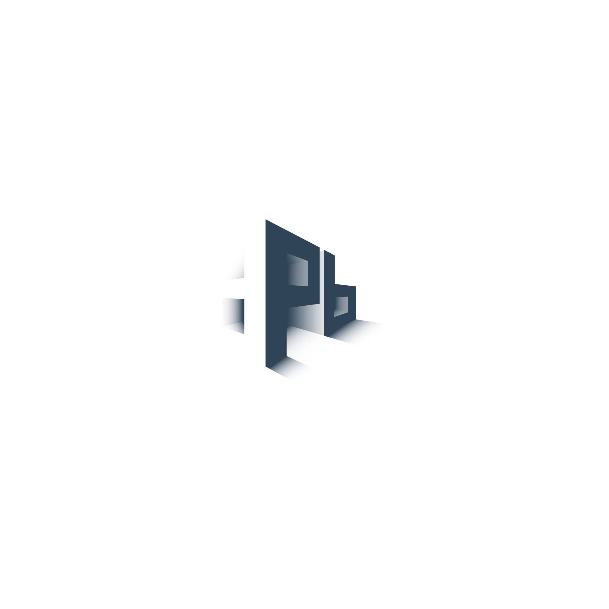 Dave Paik Builders logo